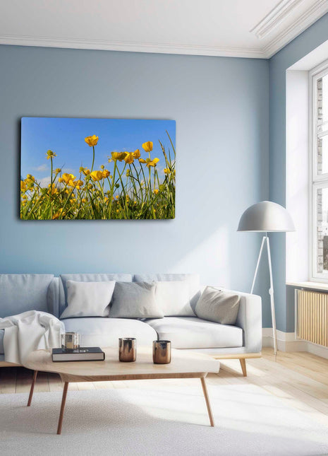 Wild flowers, buttercups and grasses printed canvas picture print.