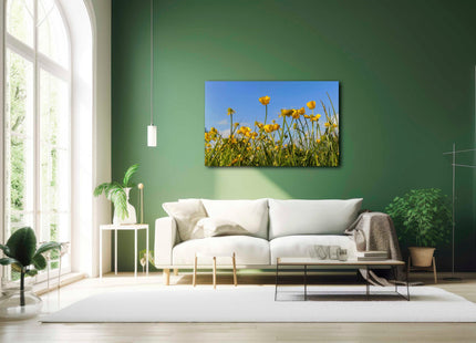 Wild flowers, buttercups and grasses printed canvas picture print.