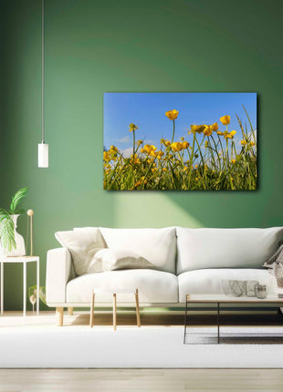 Wild flowers, buttercups and grasses printed canvas picture print.