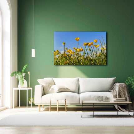 Wild flowers, buttercups and grasses printed canvas picture print.