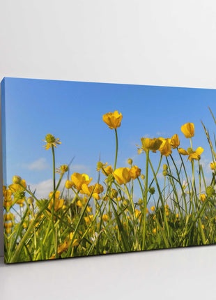 Wild flowers, buttercups and grasses printed canvas picture print.