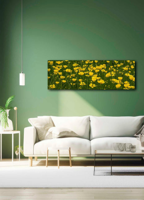 Wild flowers, buttercups, panoramic canvas picture print. Choice of sizes.