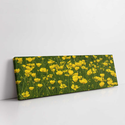 Wild flowers, buttercups, panoramic canvas picture print. Choice of sizes.