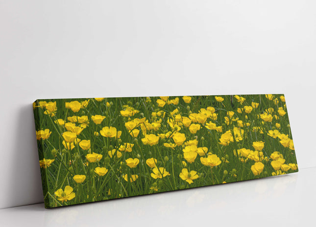 Wild flowers, buttercups, panoramic canvas picture print. Choice of sizes.