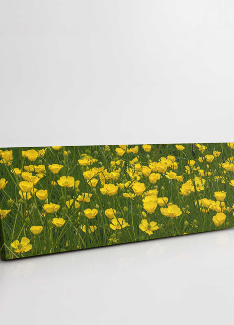Wild flowers, buttercups, panoramic canvas picture print. Choice of sizes.