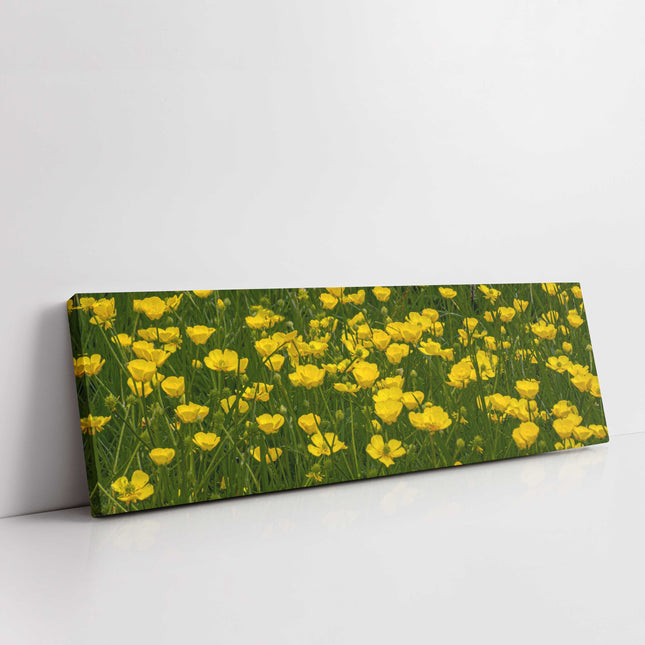Wild flowers, buttercups, panoramic canvas picture print. Choice of sizes.