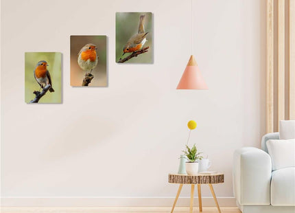 Robins, set of 3 birds. Wildlife canvas picture prints.