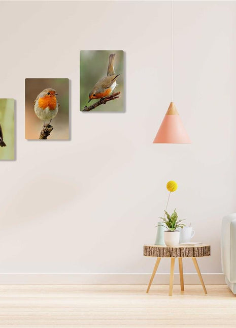 Robins, set of 3 birds. Wildlife canvas picture prints.