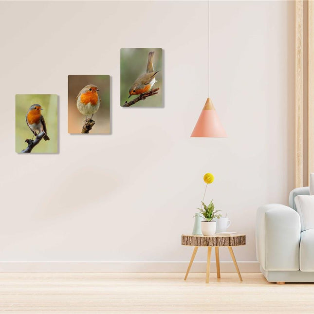 Robins, set of 3 birds. Wildlife canvas picture prints.
