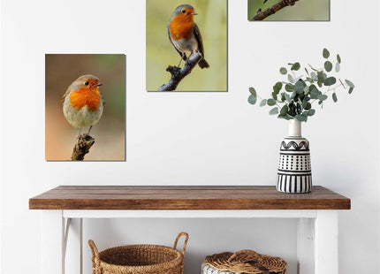 Robins, set of 3 birds. Wildlife canvas picture prints.