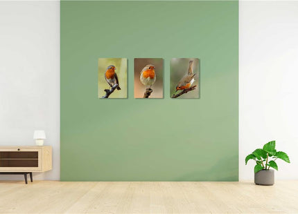 Robins, set of 3 birds. Wildlife canvas picture prints.
