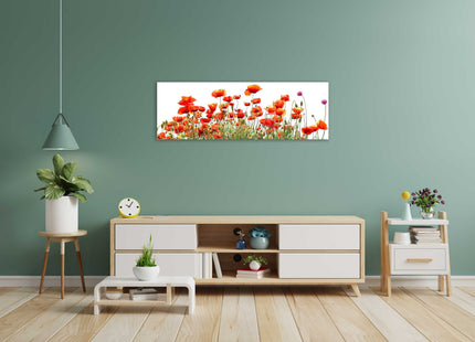 Wild Poppies, panoramic canvas picture print, vibrant colours. Wild flowers