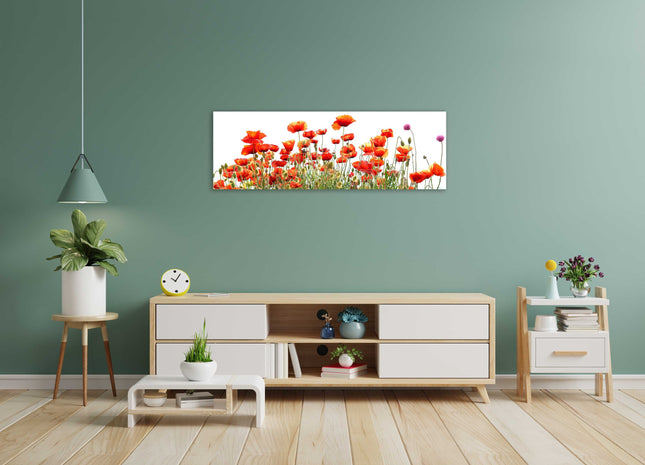 Wild Poppies, panoramic canvas picture print, vibrant colours. Wild flowers