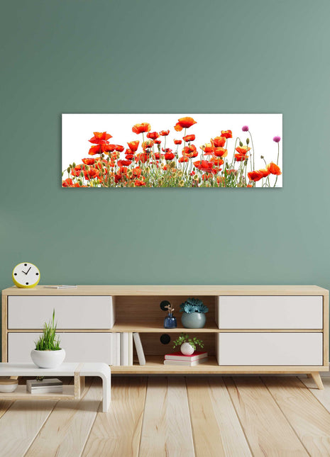Wild Poppies, panoramic canvas picture print, vibrant colours. Wild flowers