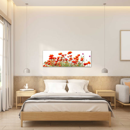 Wild Poppies, panoramic canvas picture print, vibrant colours. Wild flowers