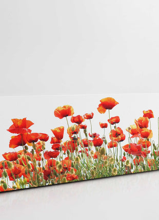 Wild Poppies, panoramic canvas picture print, vibrant colours. Wild flowers