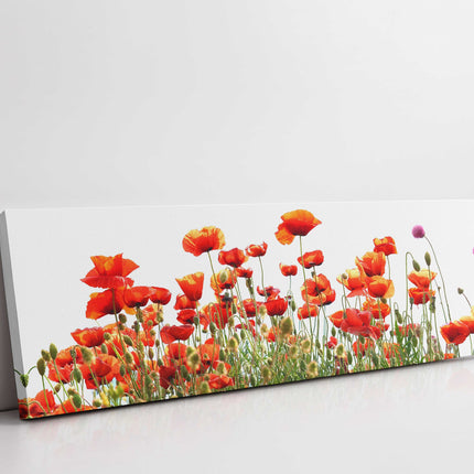 Wild Poppies, panoramic canvas picture print, vibrant colours. Wild flowers
