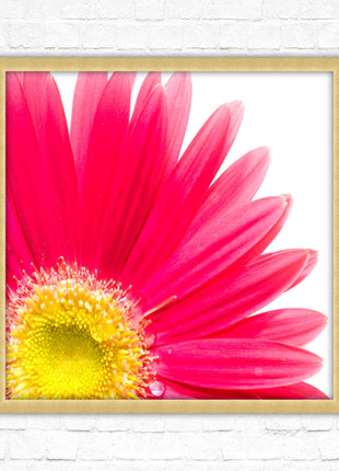 Pink flower. Framed picture print. A choice of frames and sizes, square.