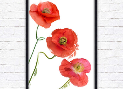 Poppies , Framed picture with choice of frame colours and options.