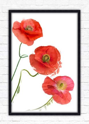 Poppies , Framed picture with choice of frame colours and options.