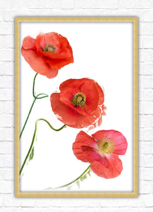 Poppies , Framed picture with choice of frame colours and options.