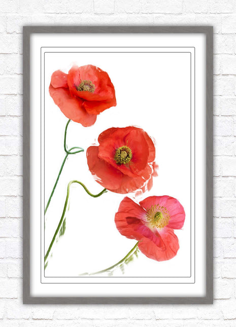 Poppies , Framed picture with choice of frame colours and options.