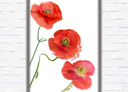 Poppies , Framed picture with choice of frame colours and options.