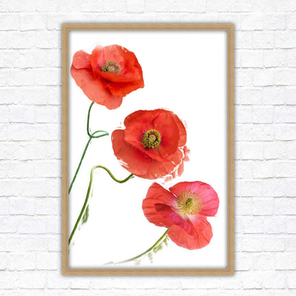 Poppies , Framed picture with choice of frame colours and options.