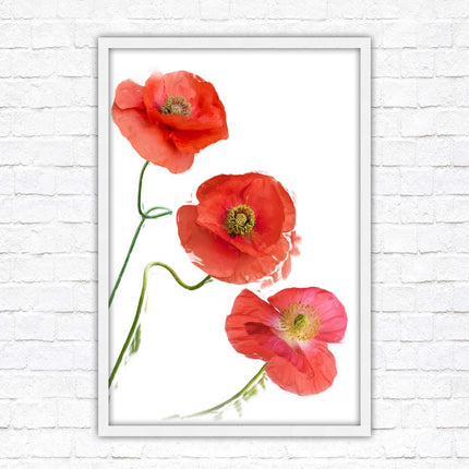 Poppies , Framed picture with choice of frame colours and options.