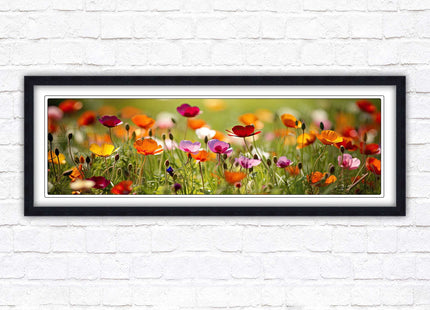 Wild flowers. Bright summer colours grass framed picture print choice frame