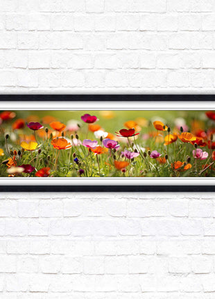 Wild flowers. Bright summer colours grass framed picture print choice frame