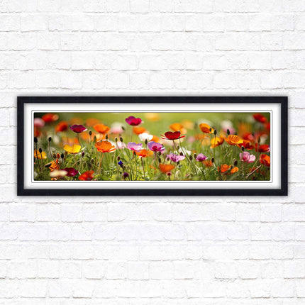 Wild flowers. Bright summer colours grass framed picture print choice frame