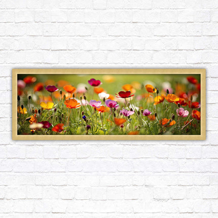 Wild flowers. Bright summer colours grass framed picture print choice frame