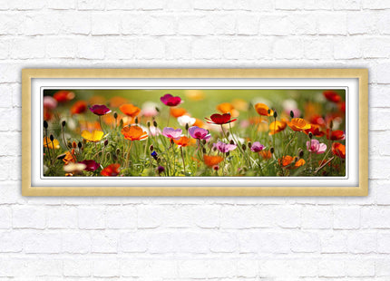 Wild flowers. Bright summer colours grass framed picture print choice frame