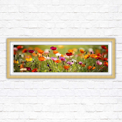 Wild flowers. Bright summer colours grass framed picture print choice frame