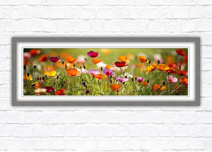 Wild flowers. Bright summer colours grass framed picture print choice frame