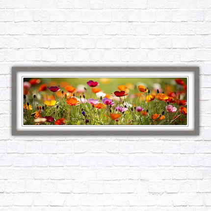 Wild flowers. Bright summer colours grass framed picture print choice frame