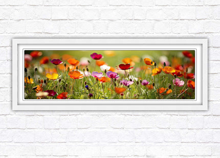 Wild flowers. Bright summer colours grass framed picture print choice frame