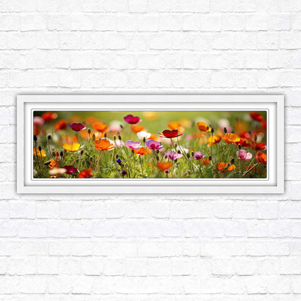 Wild flowers. Bright summer colours grass framed picture print choice frame