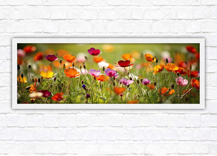 Wild flowers. Bright summer colours grass framed picture print choice frame