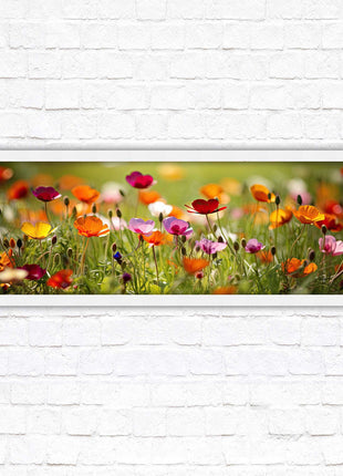 Wild flowers. Bright summer colours grass framed picture print choice frame