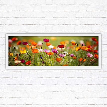 Wild flowers. Bright summer colours grass framed picture print choice frame