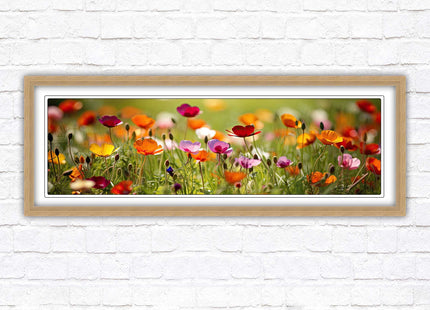 Wild flowers. Bright summer colours grass framed picture print choice frame