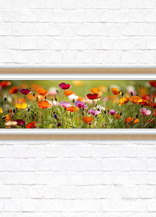Wild flowers. Bright summer colours grass framed picture print choice frame