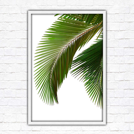 Palm leaf. Printed, Framed picture with choice of frame colours and options.