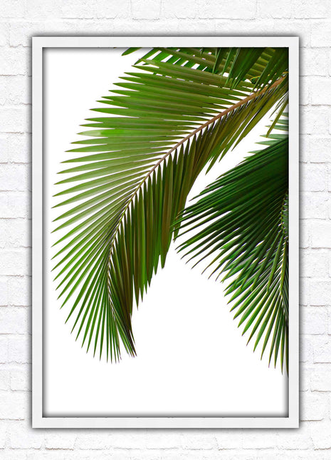 Palm leaf. Printed, Framed picture with choice of frame colours and options.
