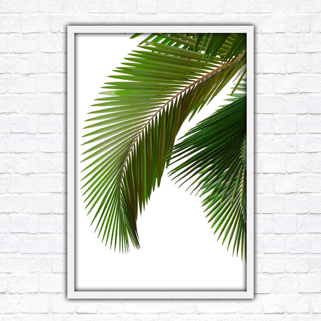 Palm leaf. Printed, Framed picture with choice of frame colours and options.