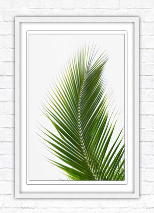 Picture frame palm leaf white background wall art frame included green leaf