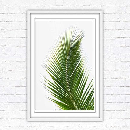 Picture frame palm leaf white background wall art frame included green leaf