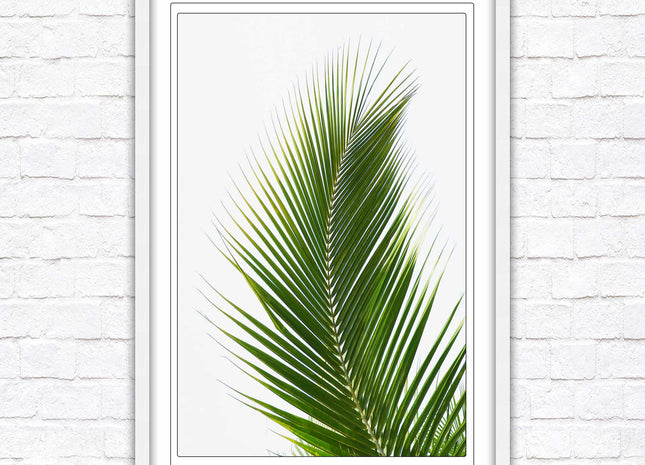 Picture frame palm leaf white background wall art frame included green leaf